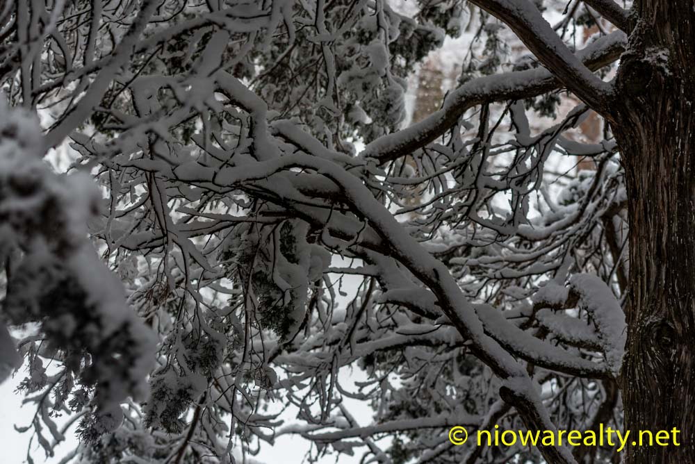 When the Snow’s Gone