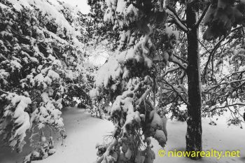 Bracing for another Dumping