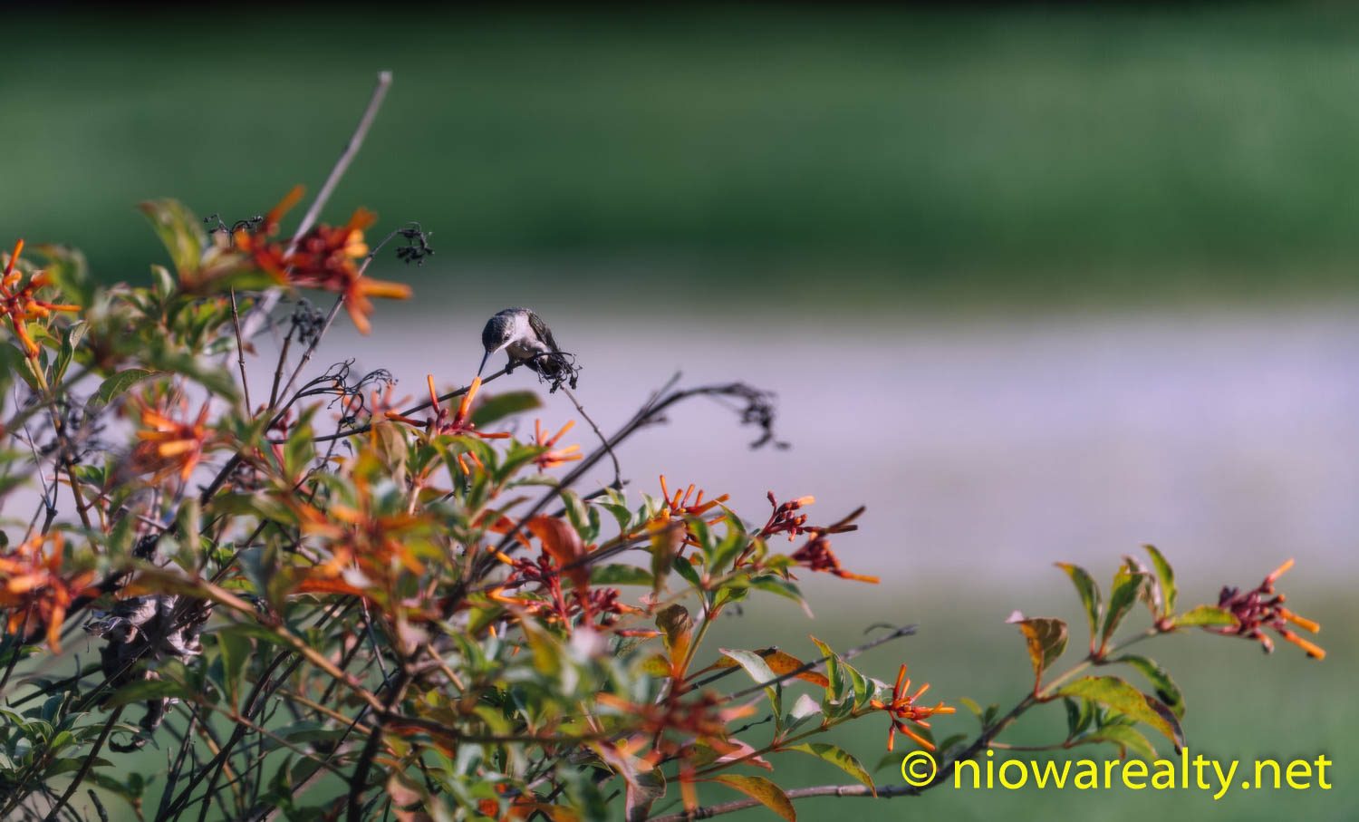 Nature’s Smallest
