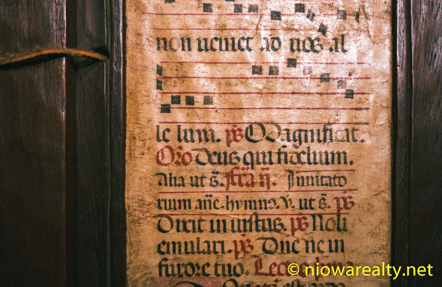The Book of Wisdom