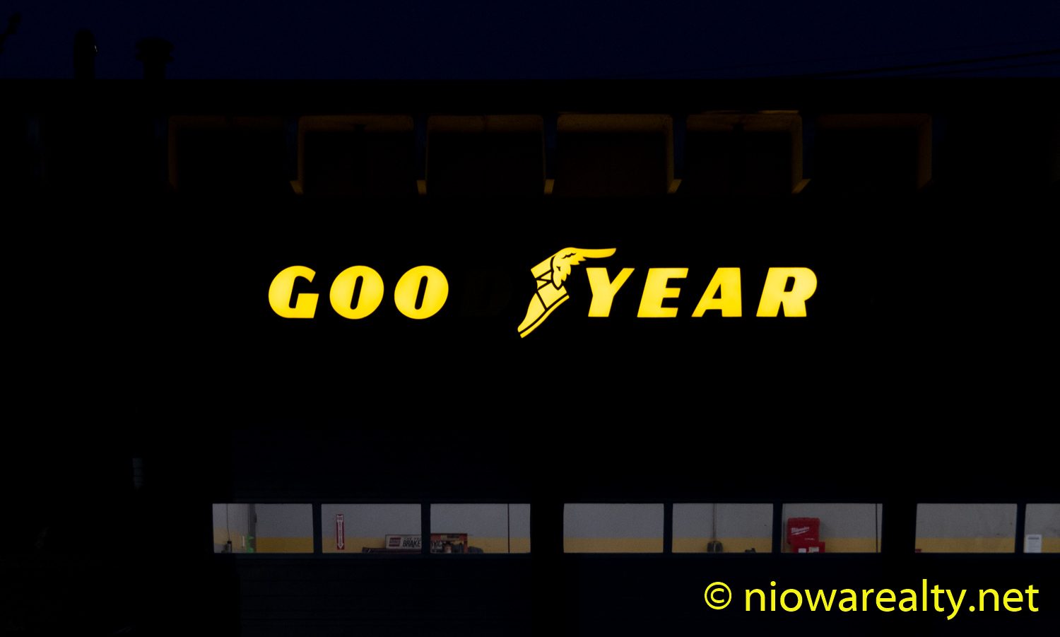 Goo Year
