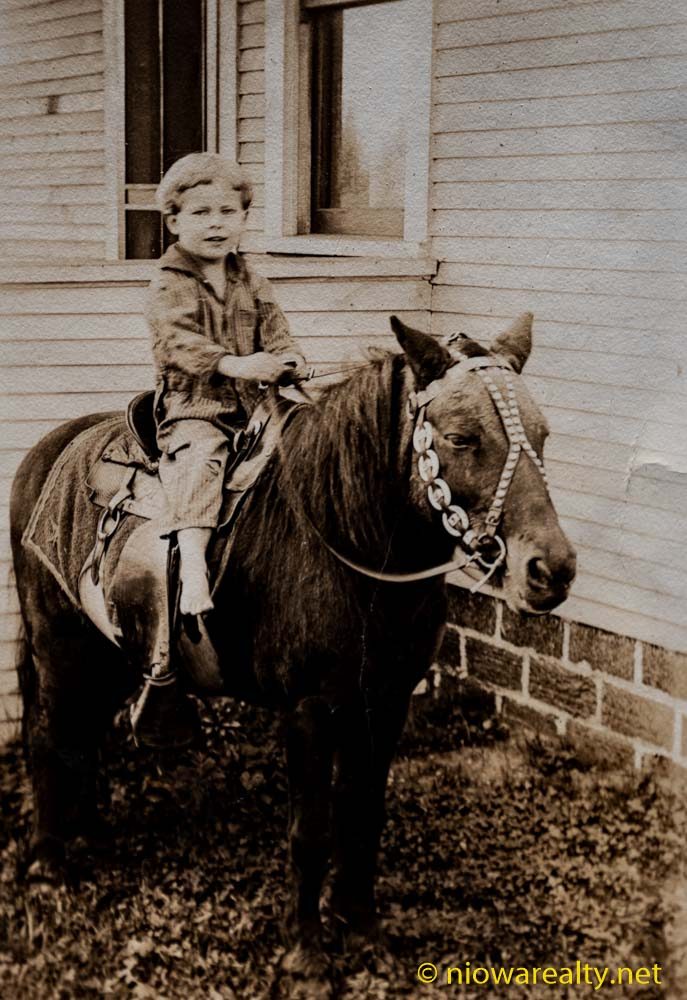 Pony Tales
