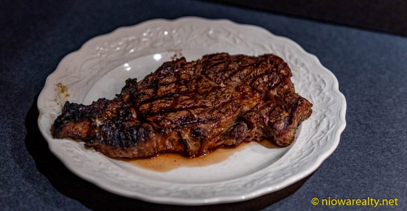 A Carnivore’s Evening Meal