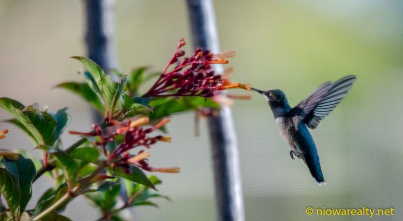 Humming Along