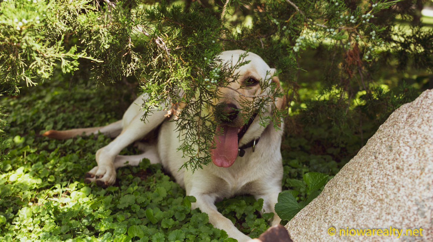 Settling for Slipshod Holtz Realty