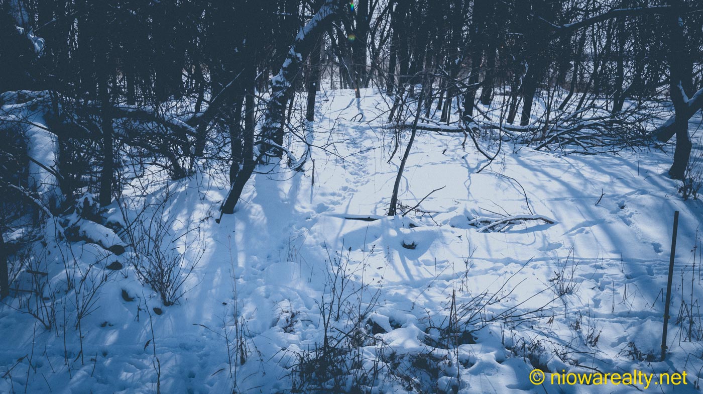 A Wildlife Trail