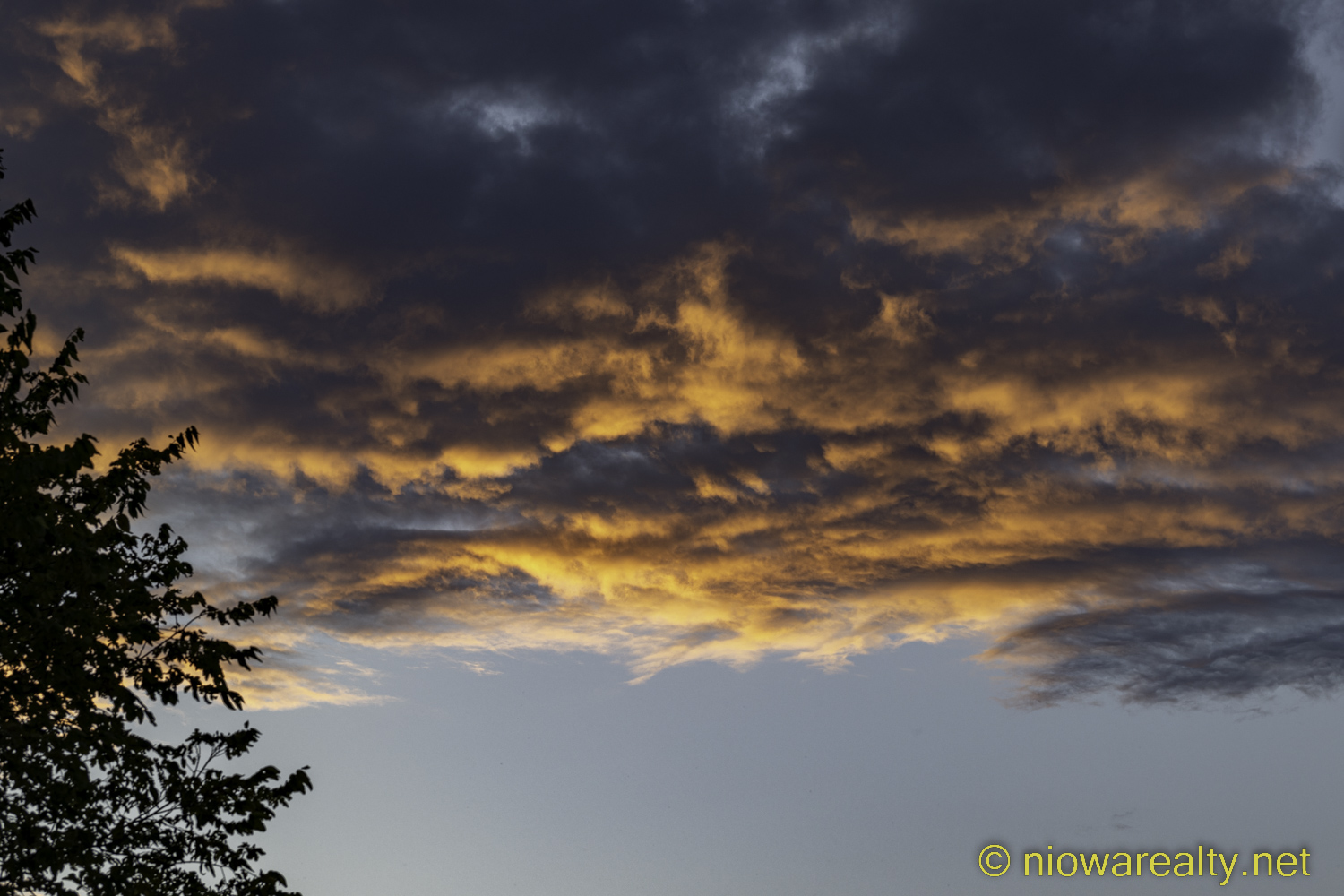 Let’s All Vote Holtz Realty