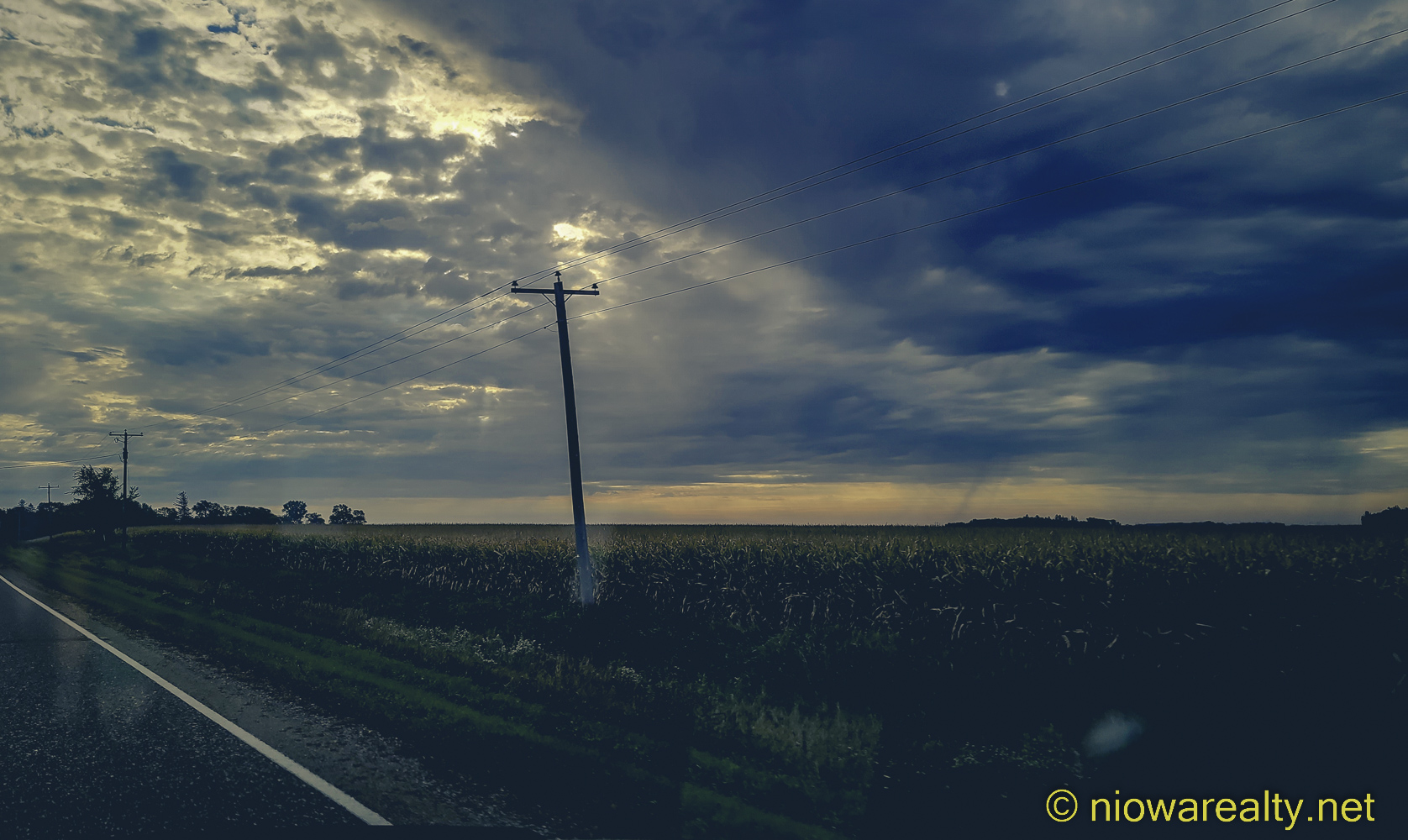 The Lying Flat Movement Holtz Realty