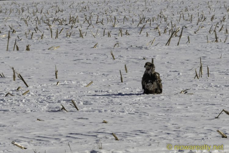 The Nearest Ever-Hungry Juvenile