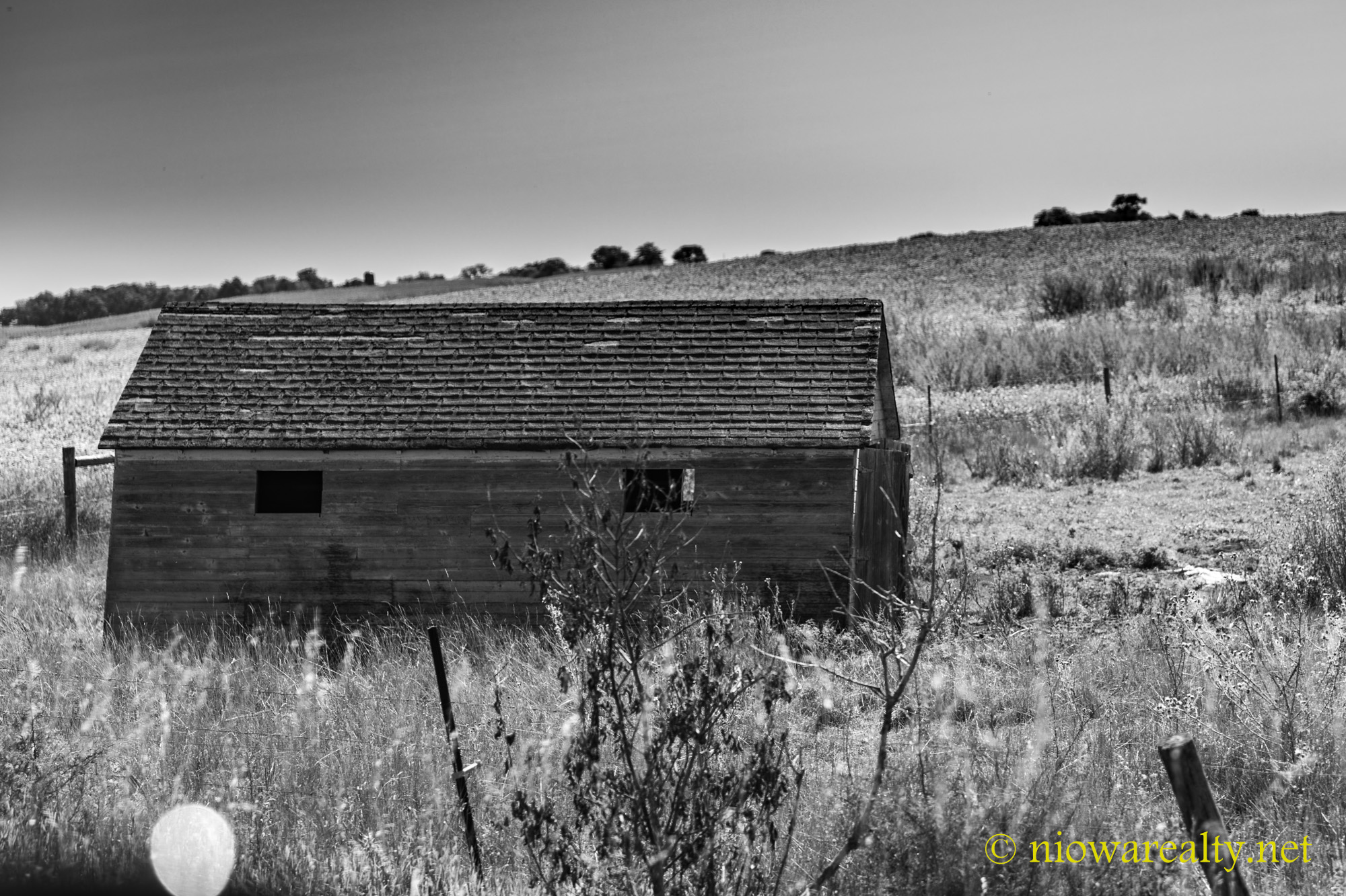 I Hate Neighbors Holtz Realty