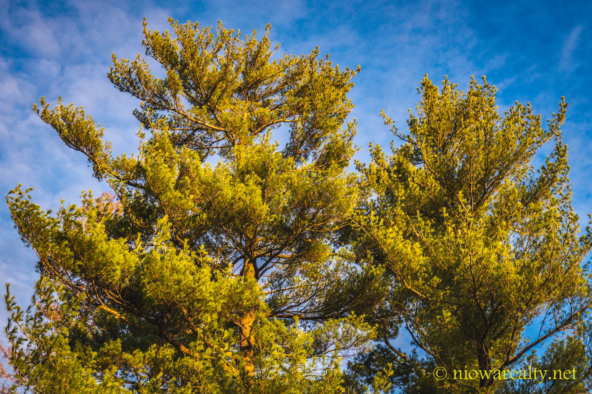 You Have To Triple-Bag Them - Holtz Realty