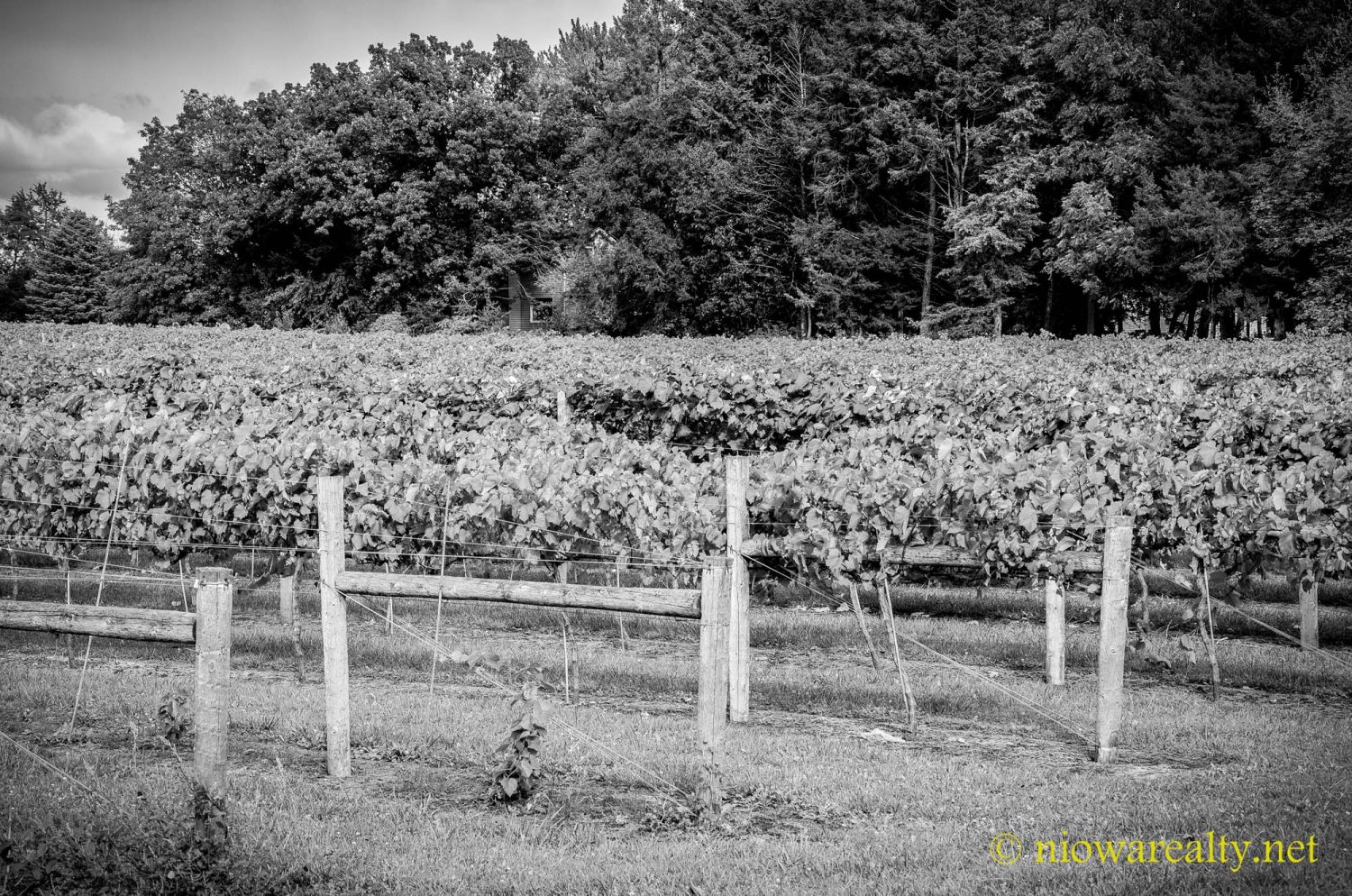 Crossword Puzzles And Online Quizzes - Holtz Realty