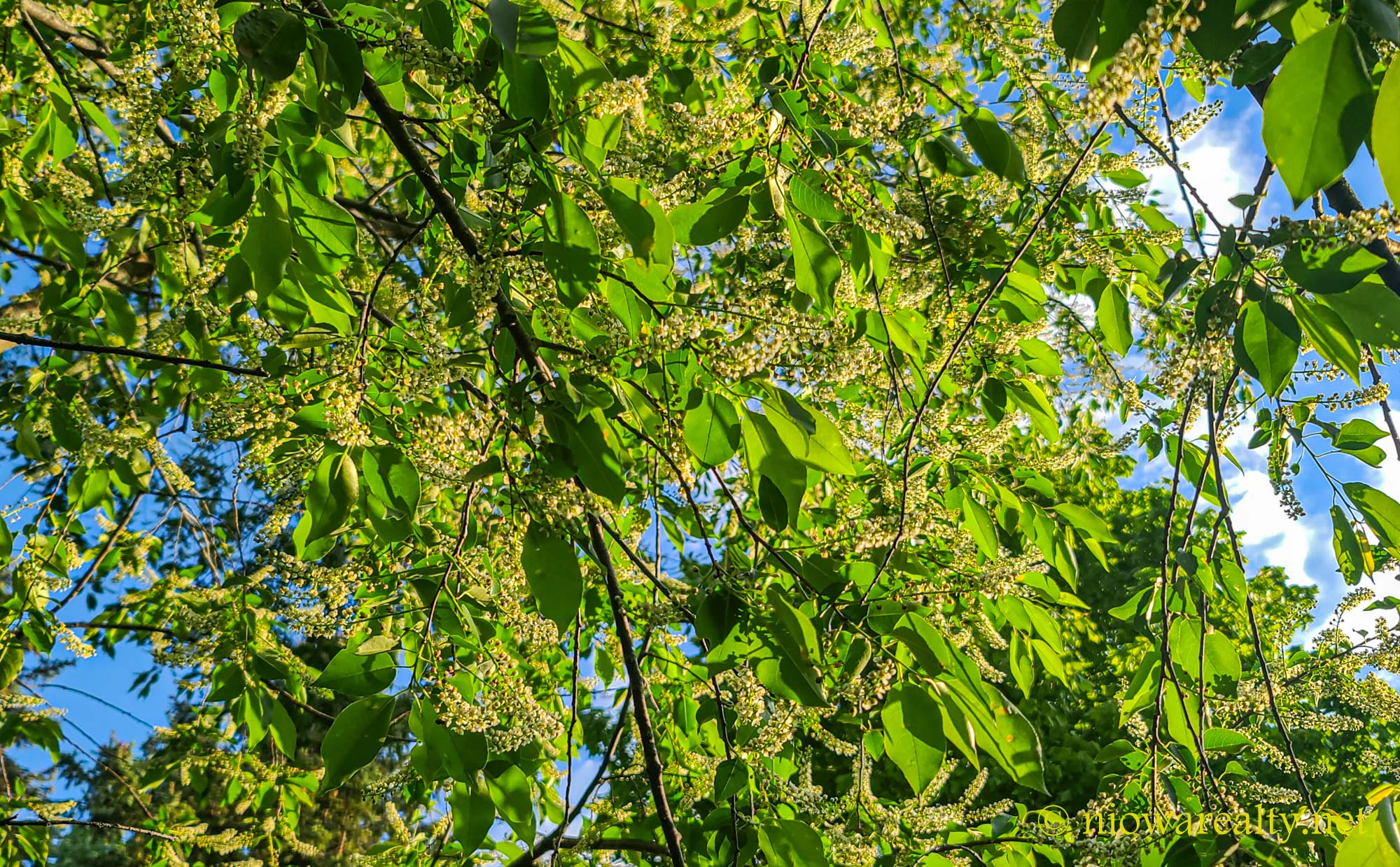 The Evolution Of Social Paradigms - Holtz Realty