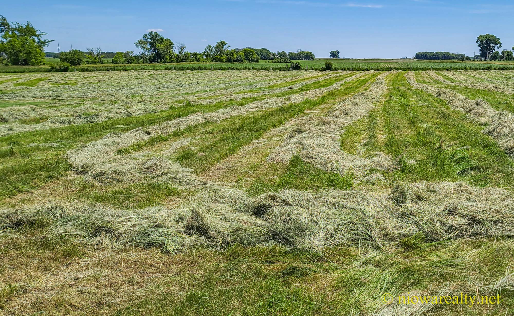Going Topless in Mason City - Holtz Realty