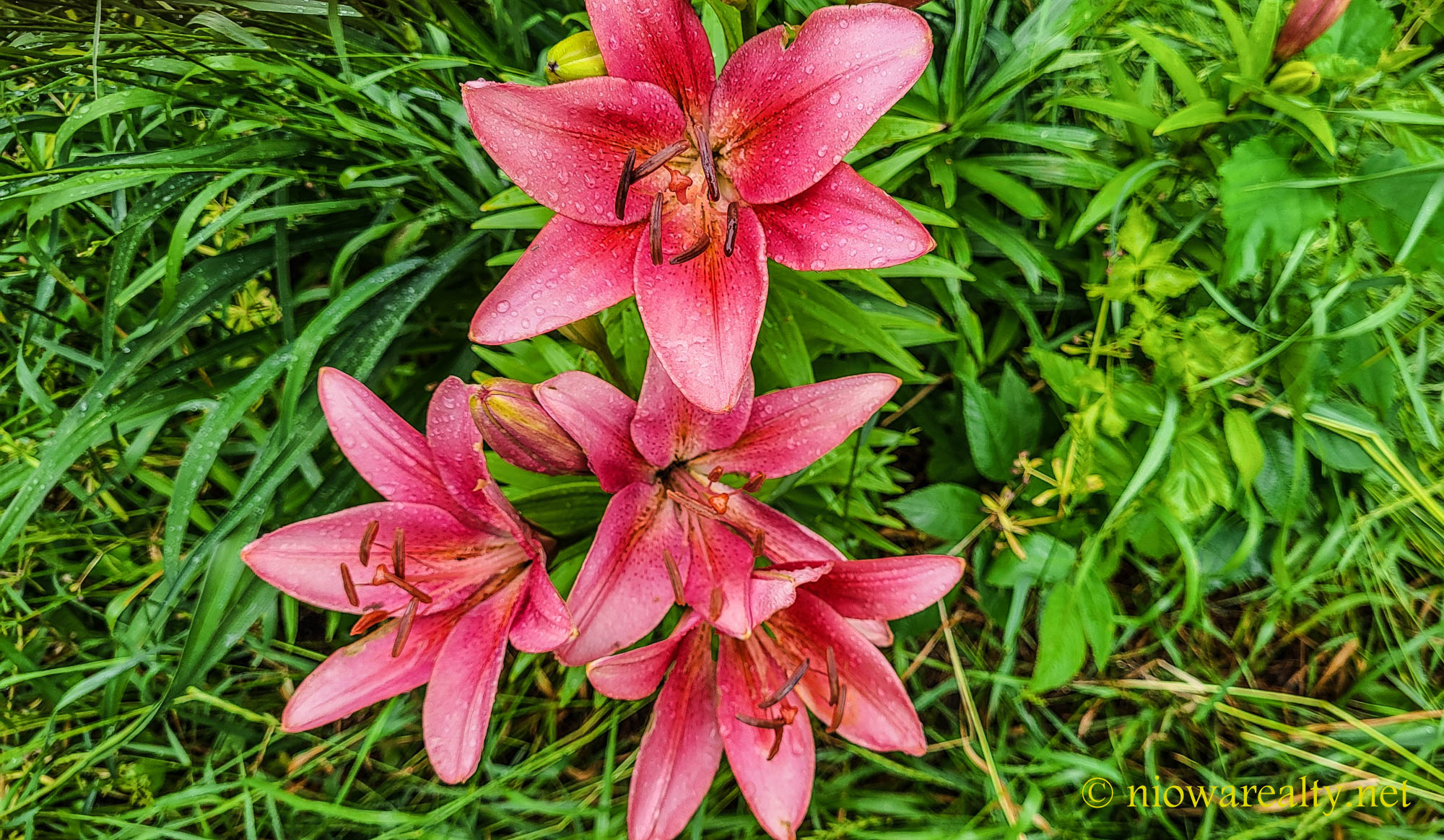 No Turning Back The Clock - Holtz Realty