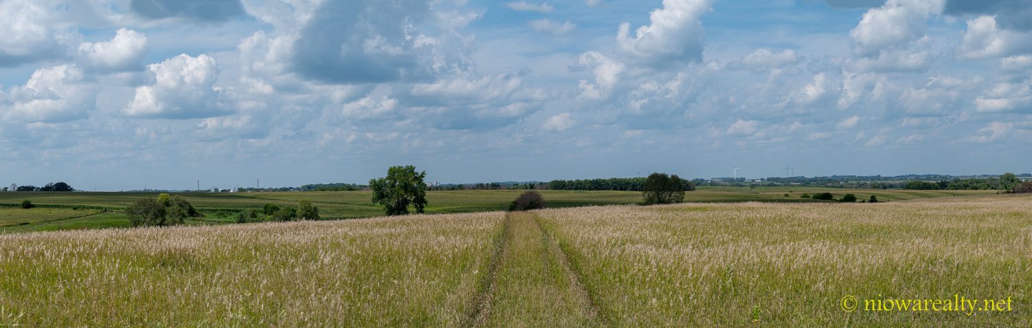 A Half-Hidden Stop