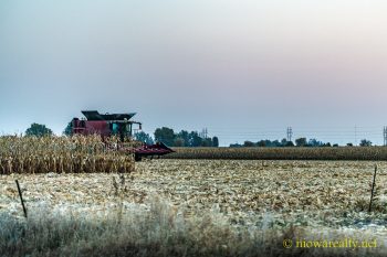 The Advent Of Our First Frost