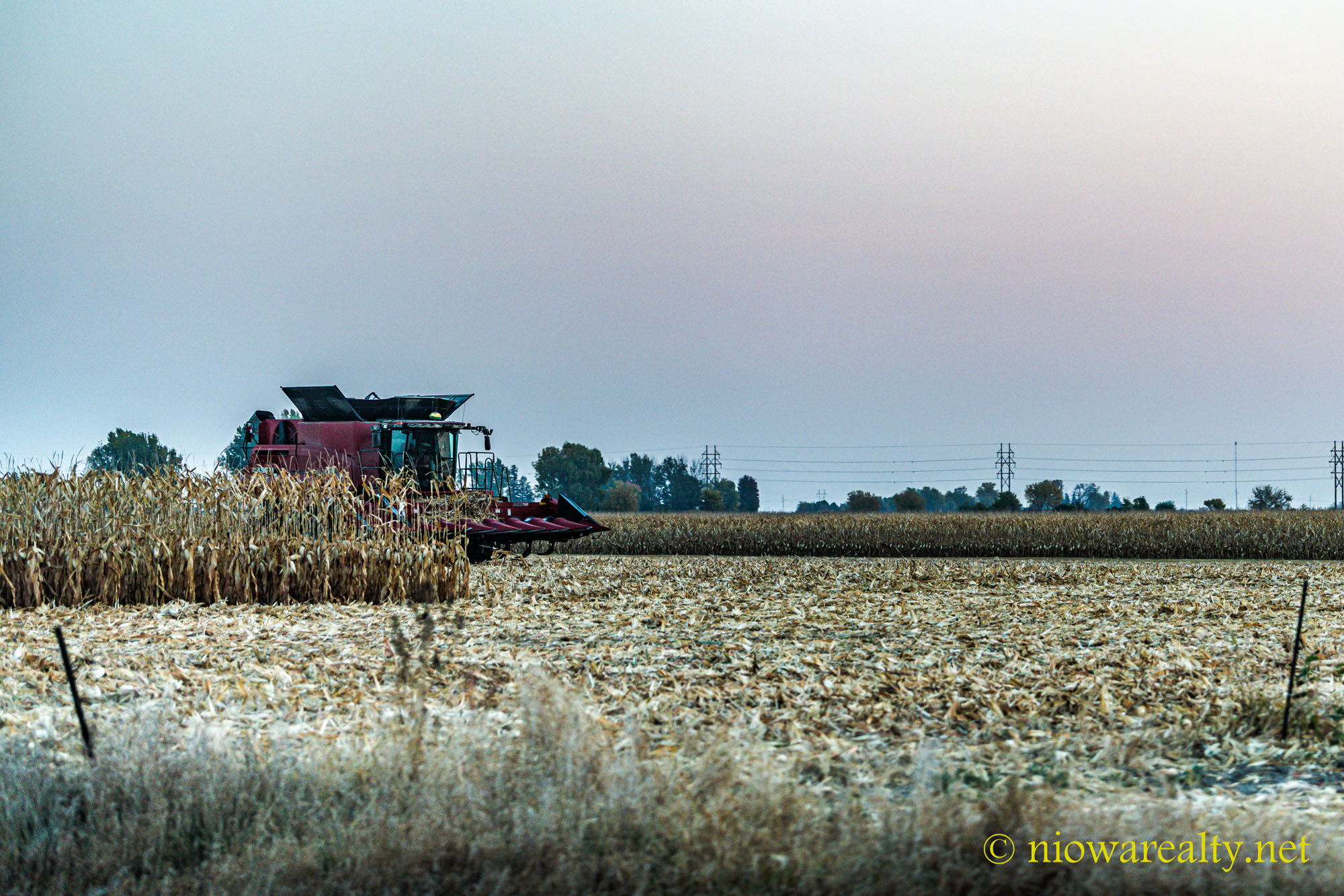 The Advent Of Our First Frost Holtz Realty