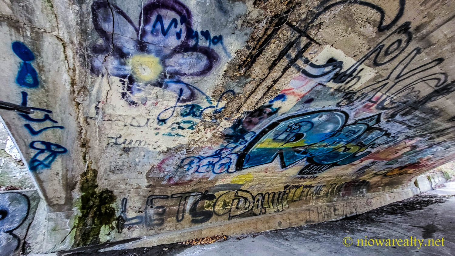 BEDBUGR