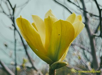 My Farewell To April