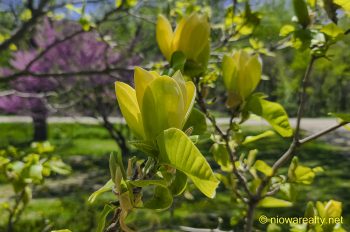 A Golden Mother’s Day