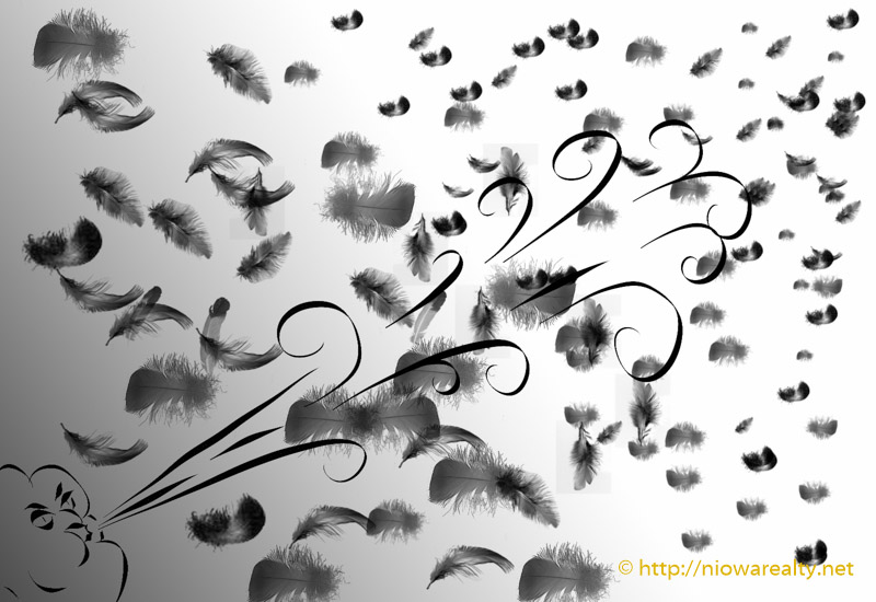 Feathers-2
